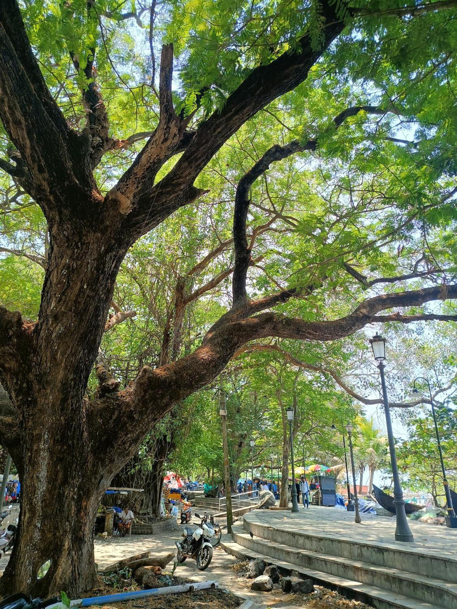 Elzas Fort Inn Kochi Luaran gambar